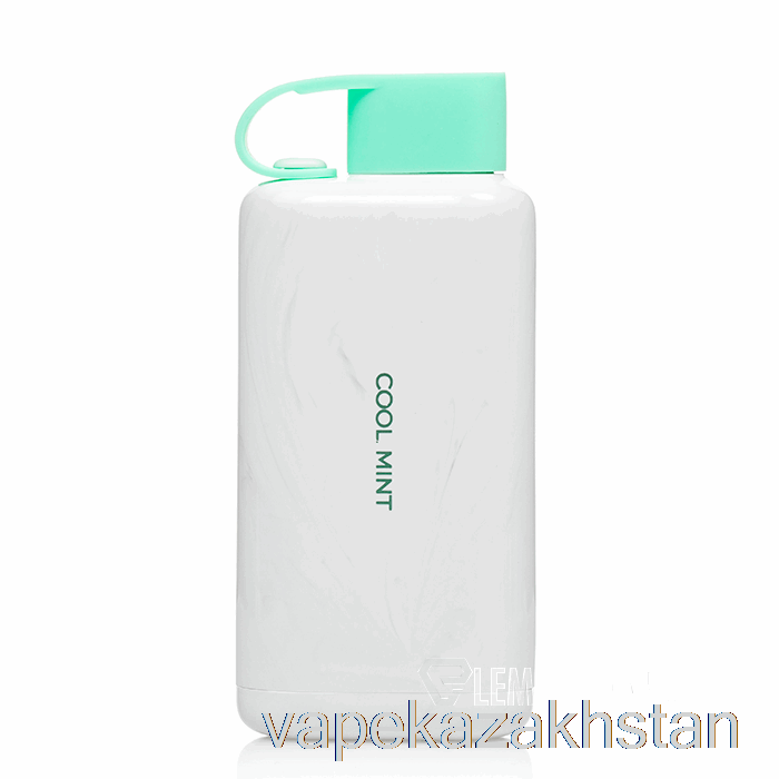 Vape Disposable VOZOL STAR 9000 Disposable Cool Mint